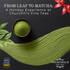 From Leaf to Matcha: Sign up on WAC Website (Dec 6 2025)