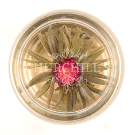 1000 Day Flower Blooming Tea (brewed)