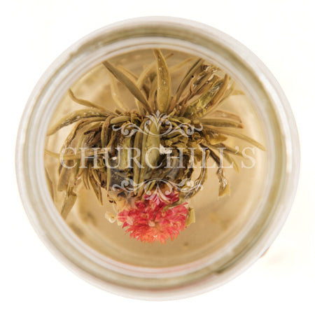 Cote D'Azur Garden Blooming Tea (brewed, top view)