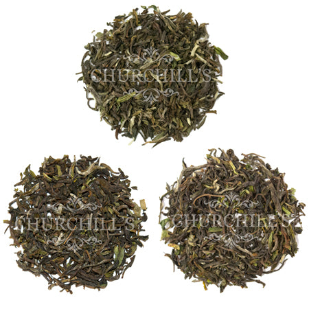 2021 First Flush Darjeeling Tea Tasting Flight